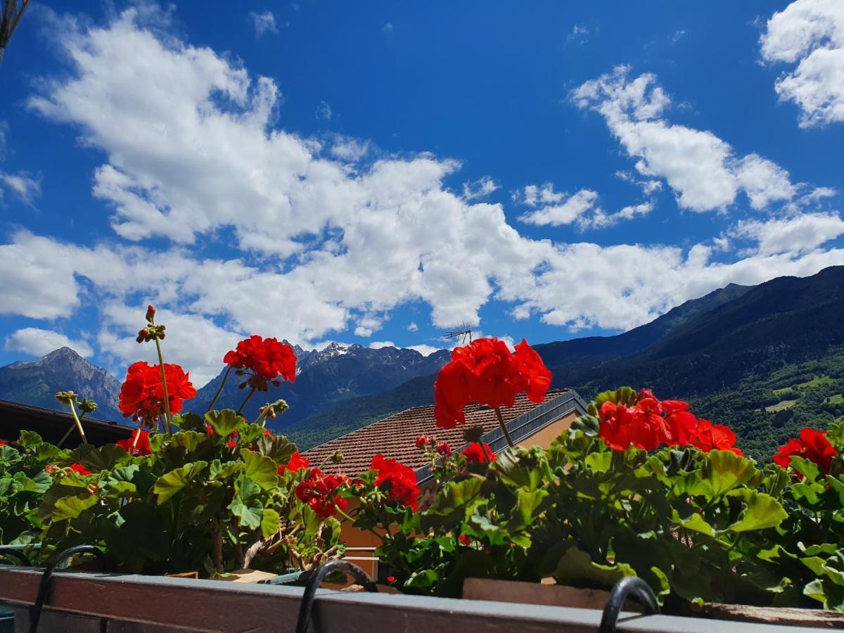 B&B Il Pettirosso Malonno Kültér fotó