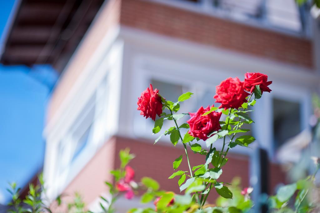 B&B Il Pettirosso Malonno Kültér fotó