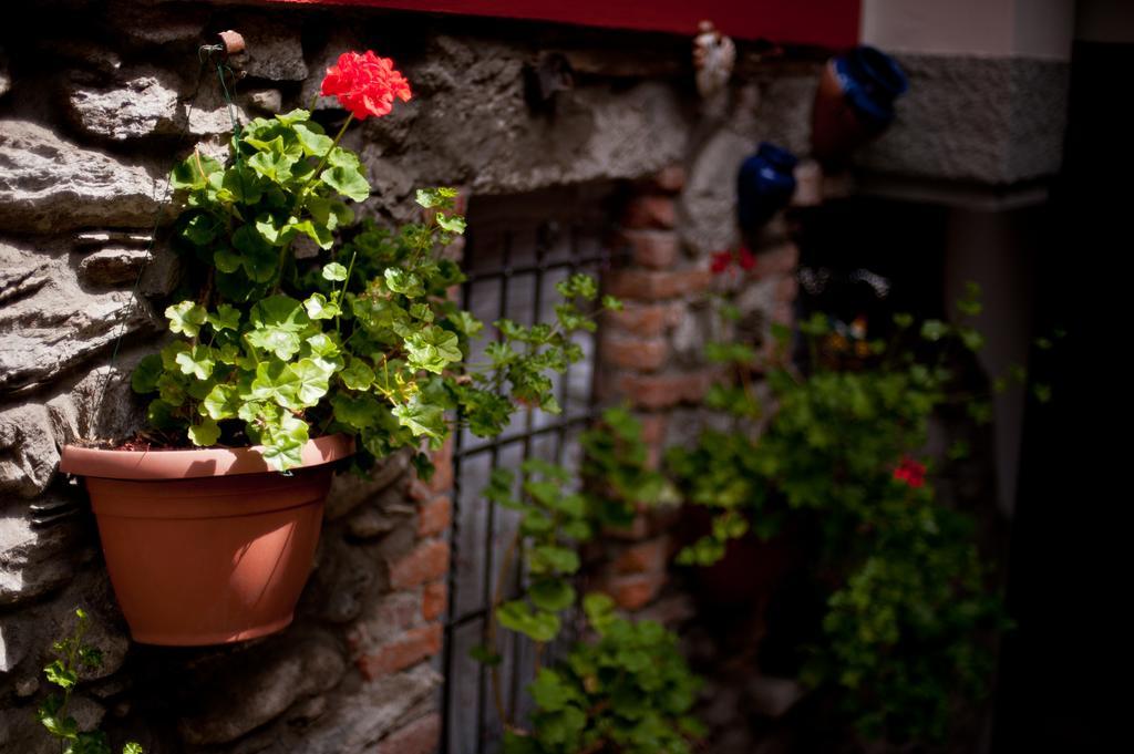 B&B Il Pettirosso Malonno Kültér fotó